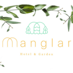 Manglar