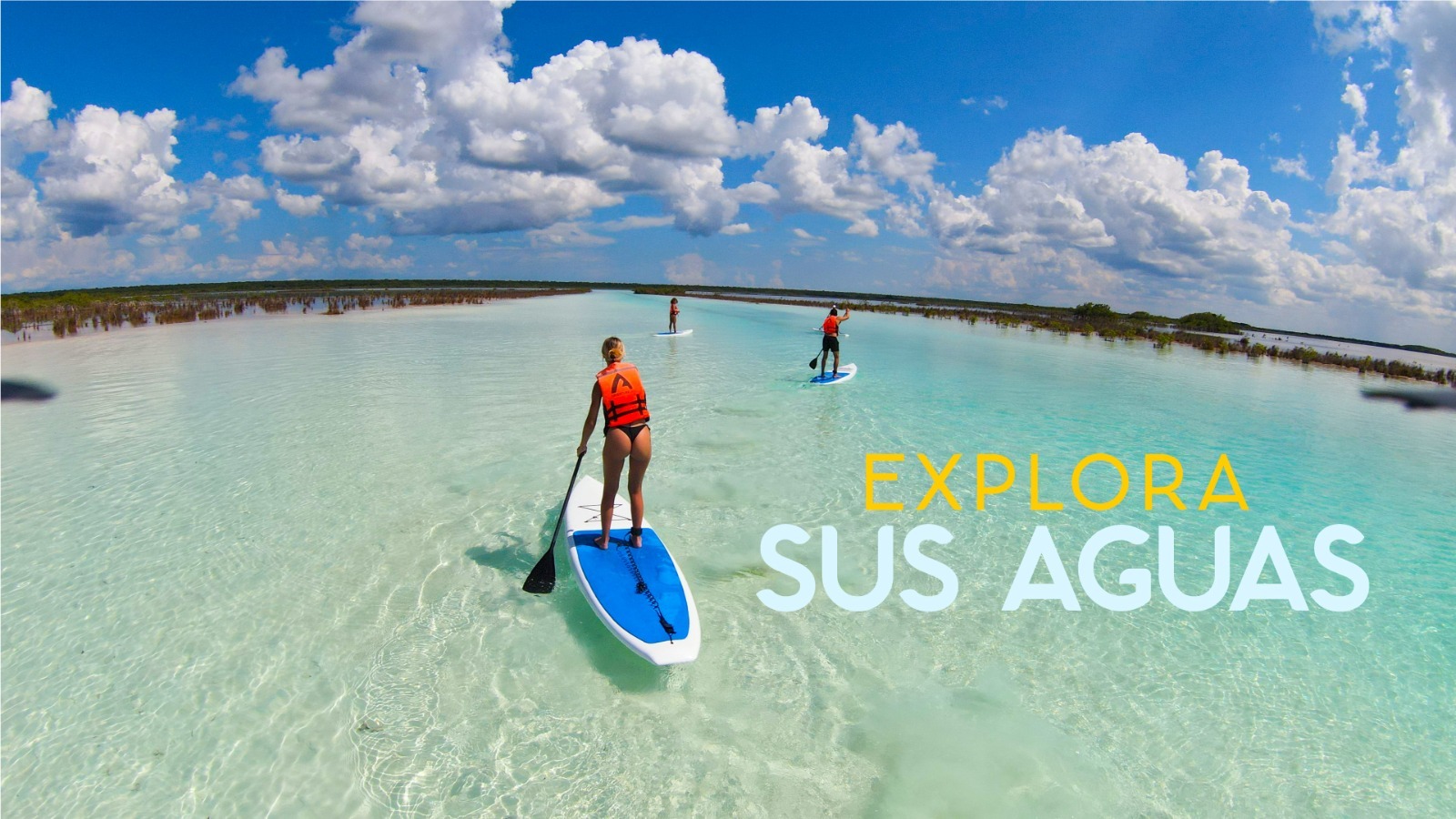 bacalar esta aqui (3)