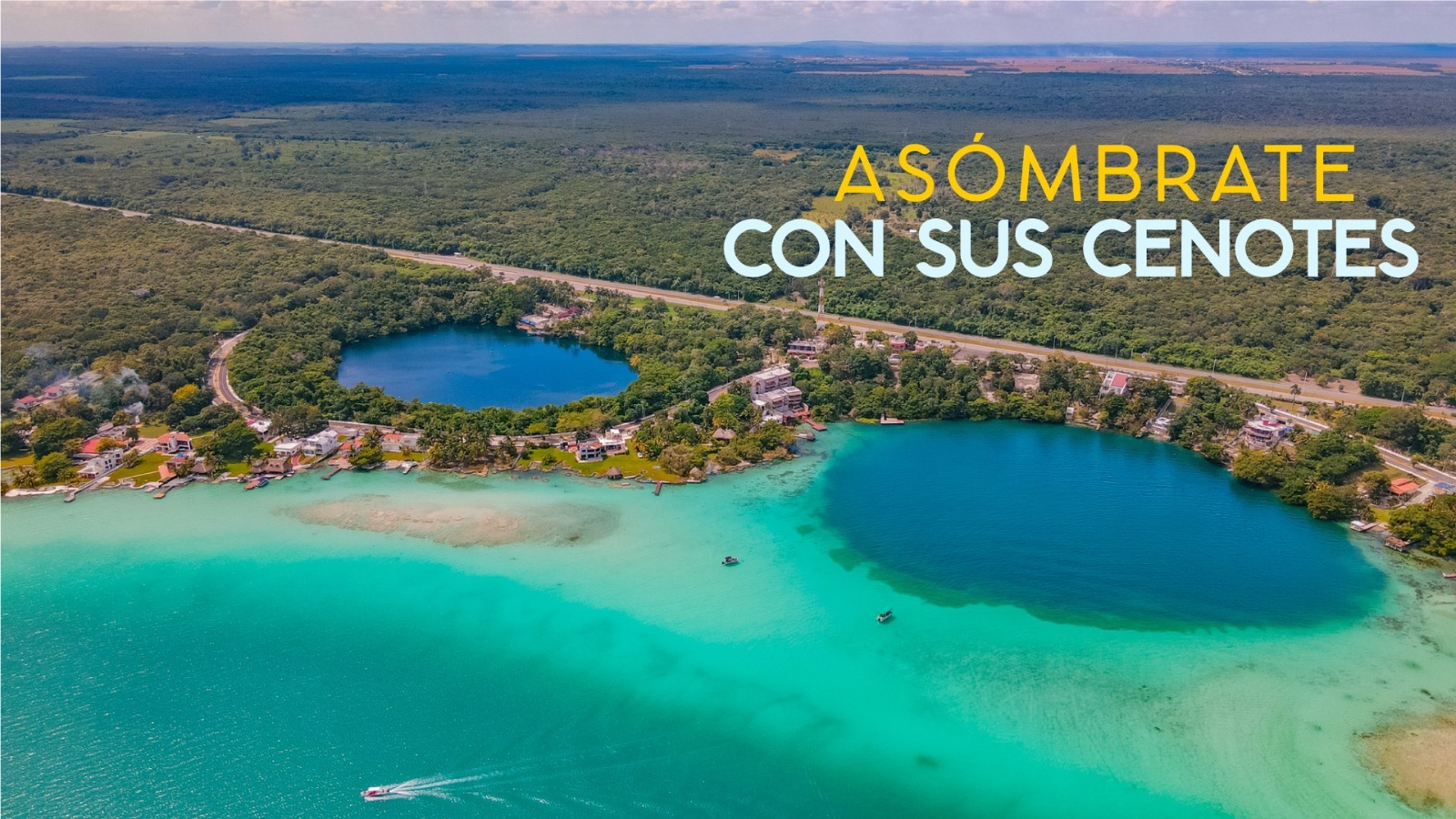 bacalar esta aqui (4)