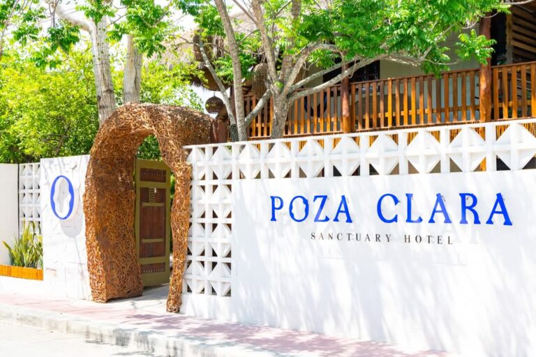 1000090732 - Poza Clara