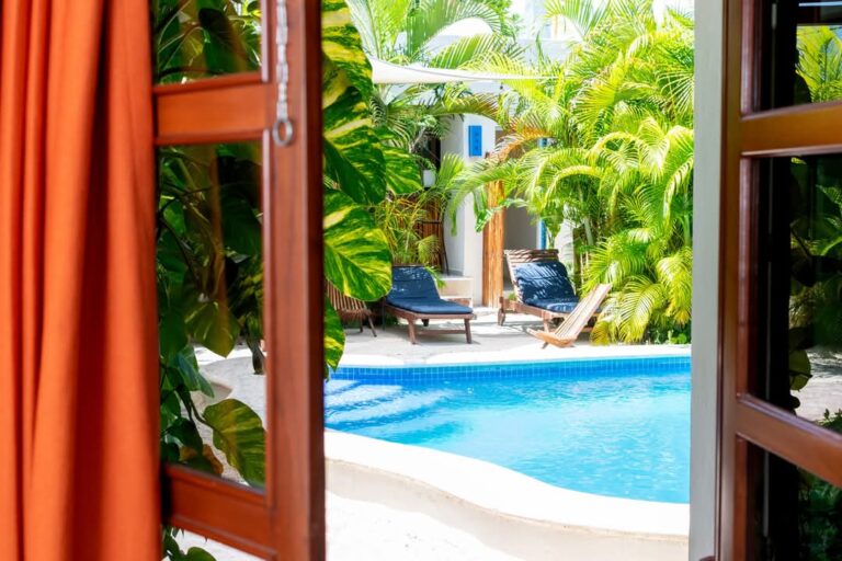 1000090736 - Poza Clara