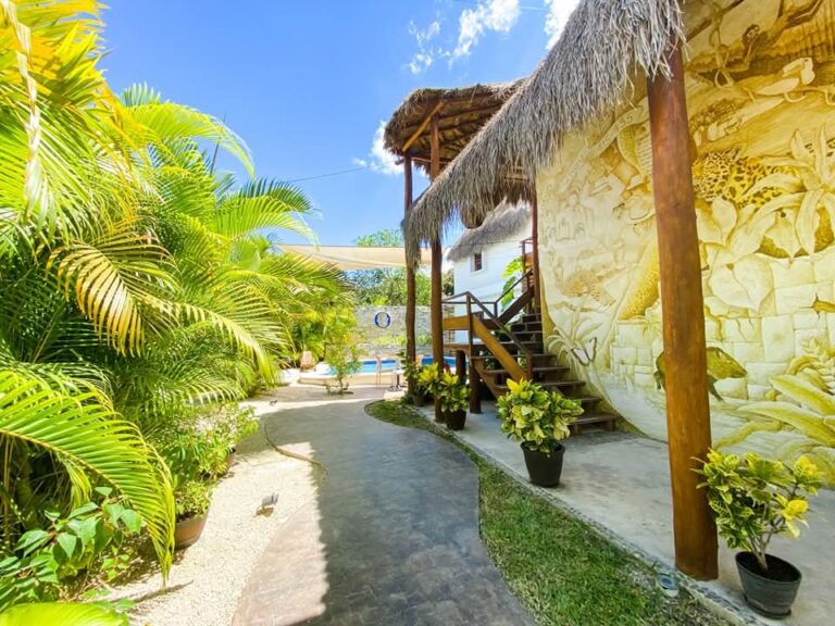 1000090737 - Poza Clara