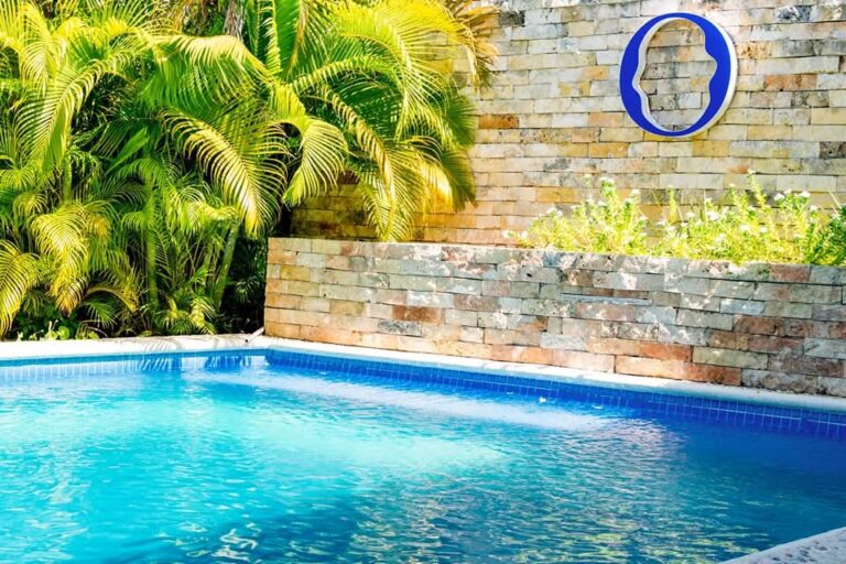 1000090740 - Poza Clara