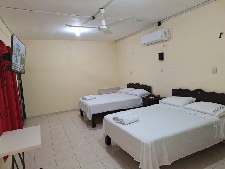 IMG-20231124-WA0009 - Eduardo Canto