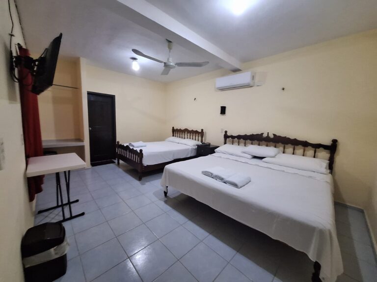 IMG-20231124-WA0010 - Eduardo Canto