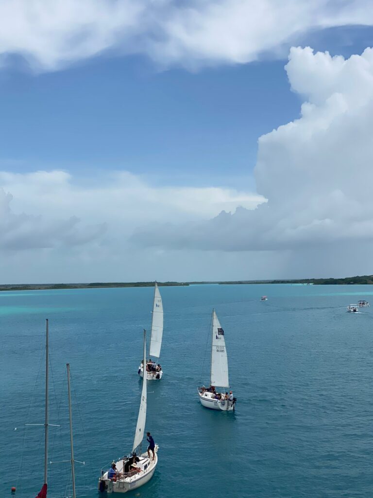 IMG-20250120-WA0024 - Xochitl Rita